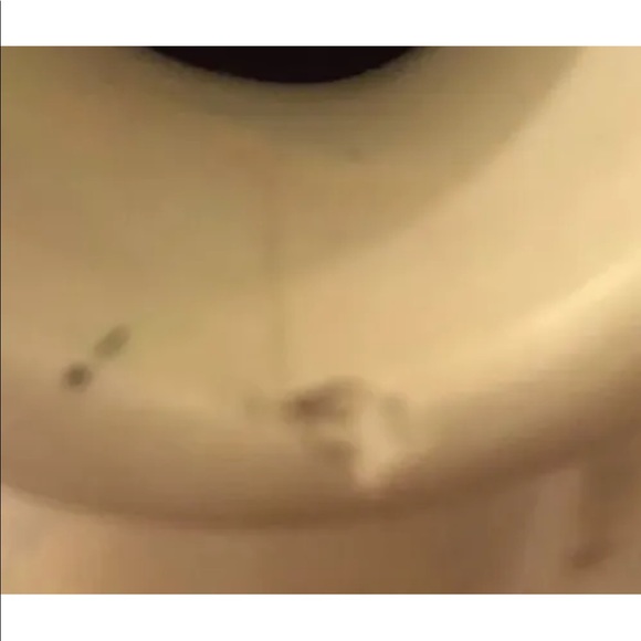 Vintage Capodimonte Small Vase Made In Italy Medallion Porcelain Limited - Picture 9 of 11